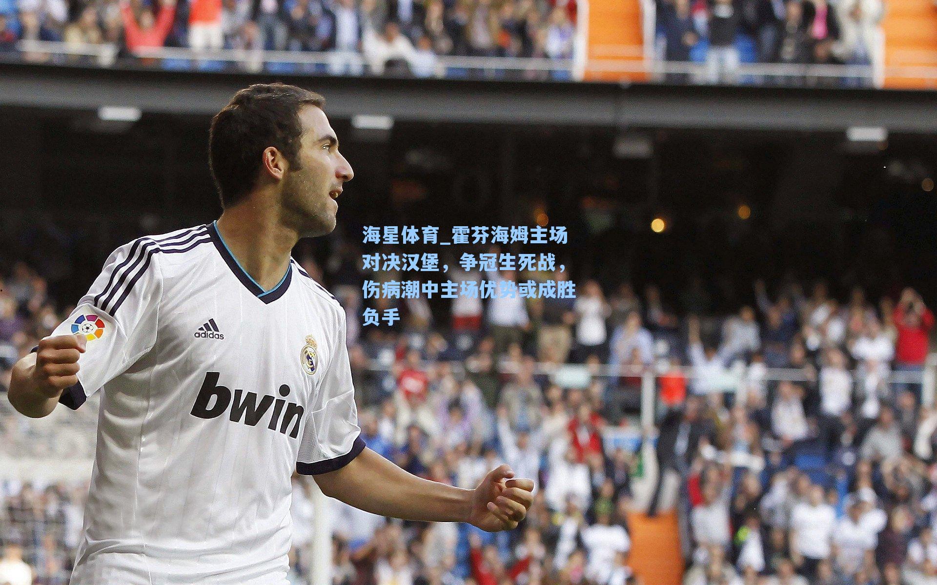 霍芬海姆主场对决汉堡，争冠生死战，伤病潮中主场优势或成胜负手