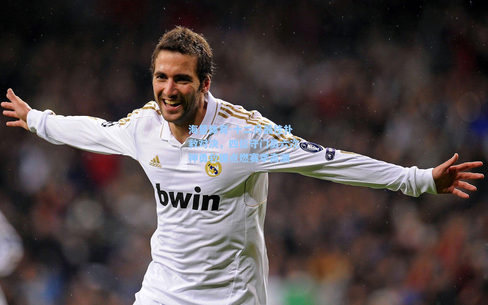 海星体育-十二月最佳扑救对决，四位守门员六次神勇救援点燃赛季高潮