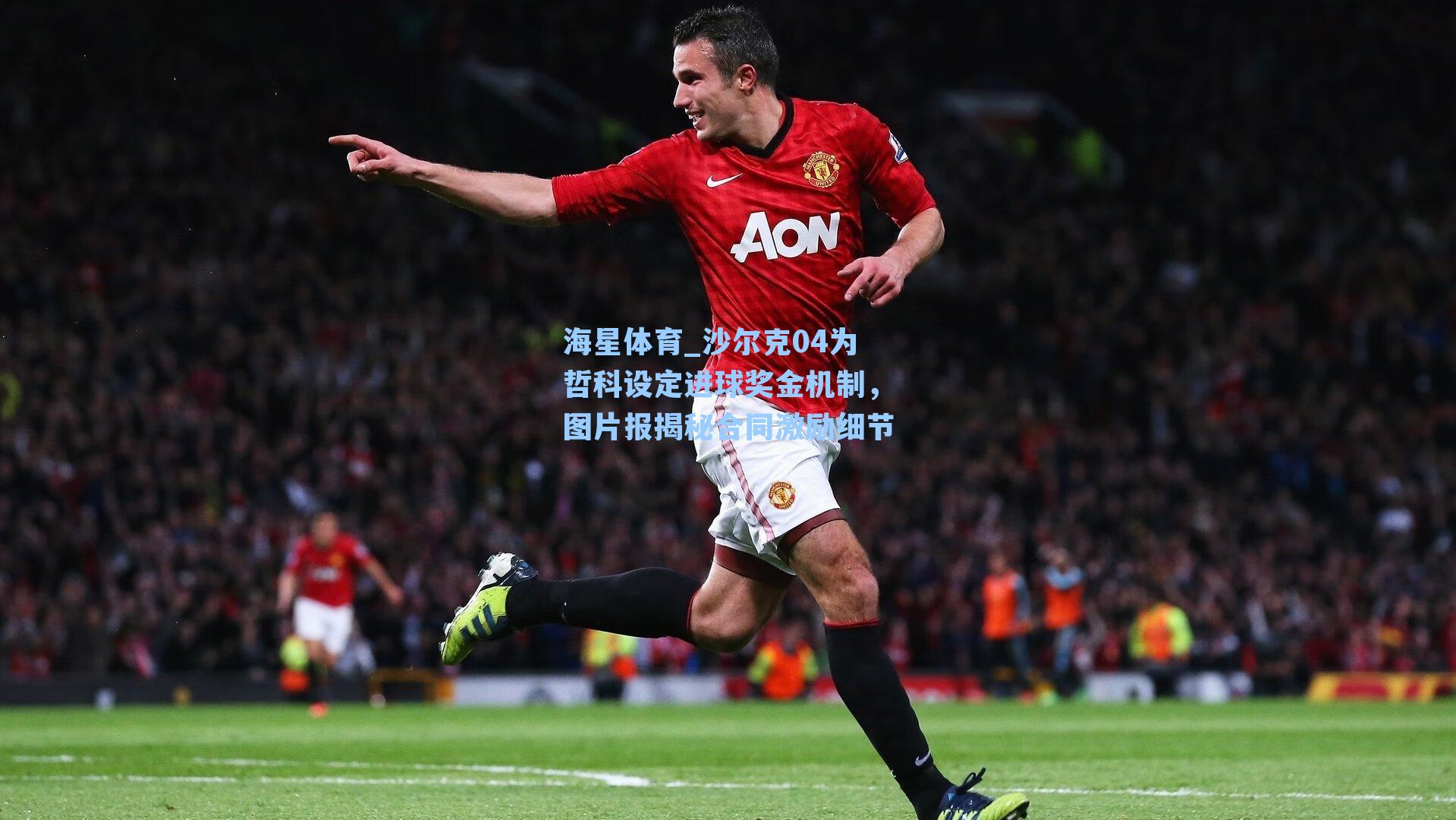 海星体育_沙尔克04为哲科设定进球奖金机制，图片报揭秘合同激励细节