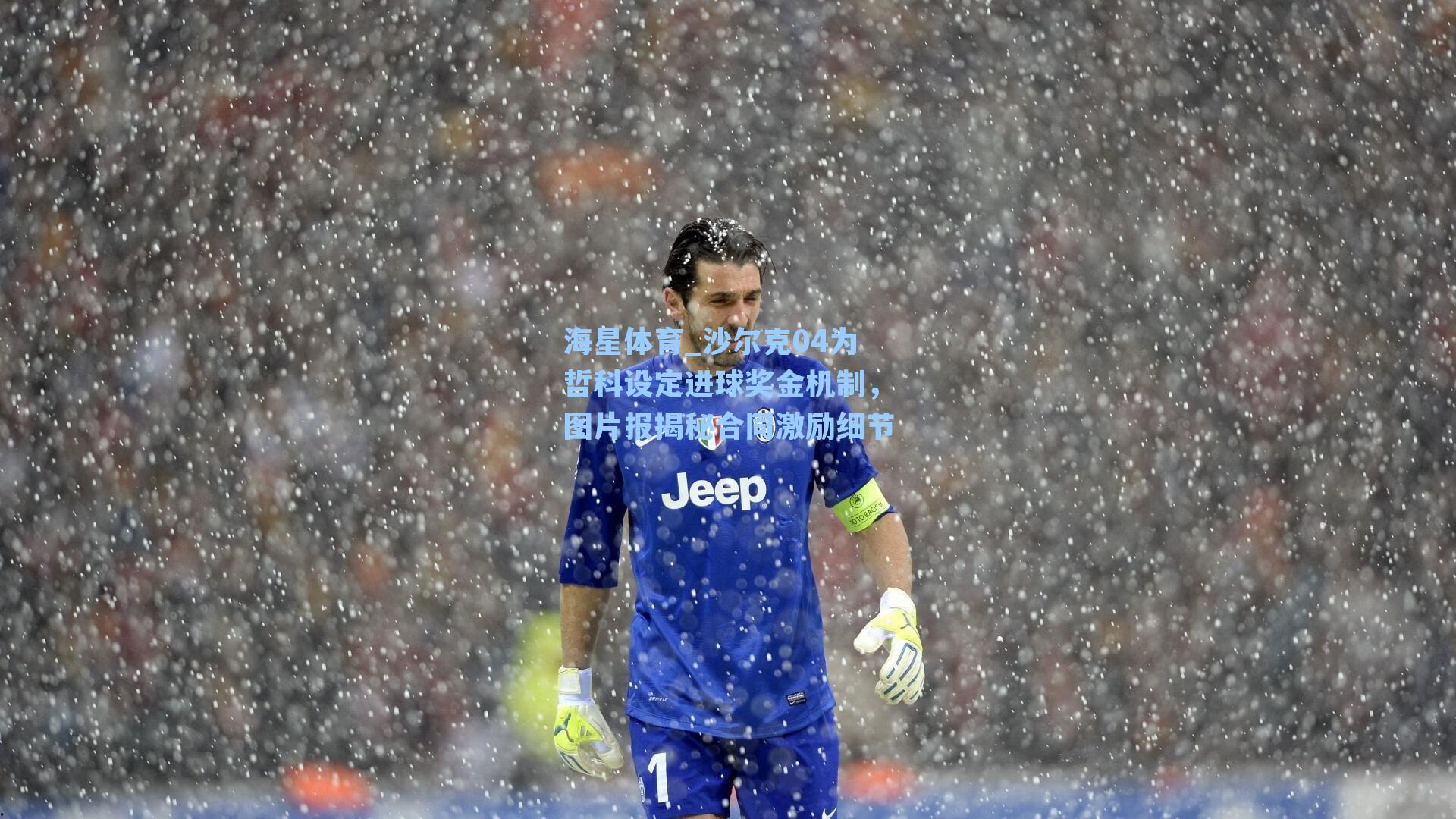 沙尔克04为哲科设定进球奖金机制，图片报揭秘合同激励细节